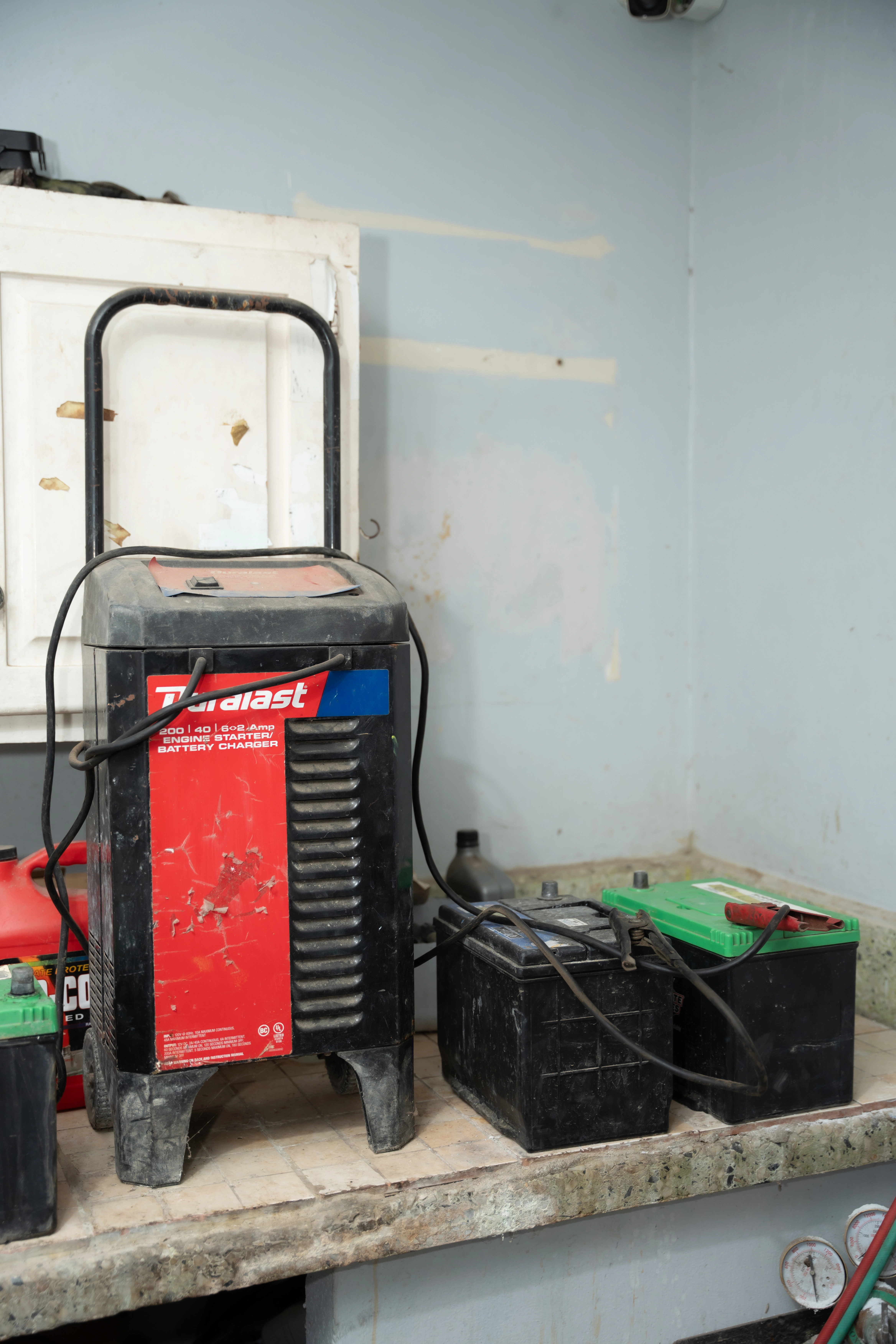 [Cargador de batería profesional]